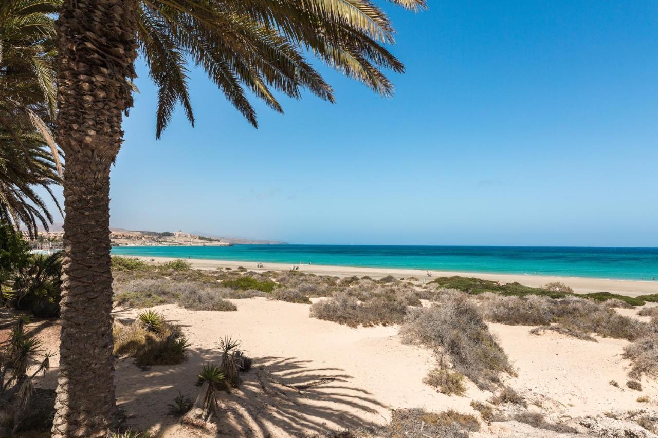 Home2Book Oasis Paradise Home Fuerteventura 코라레호 외부 사진